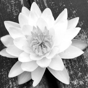 Meet your Posher, Katelyn